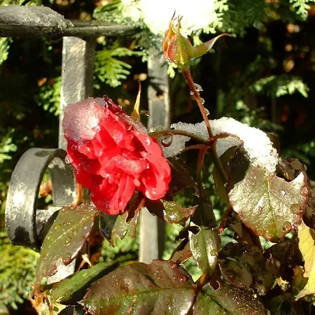 Ferienhaus Annenheim Appartamento