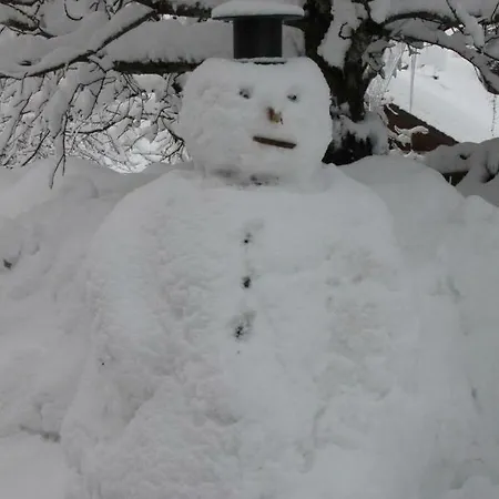 Apartment Ferienhaus Annenheim *